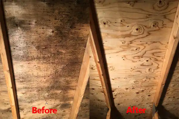 water damage restoration service Pelican Rapids